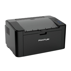 Лазерный принтер Pantum P2507